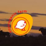 enviroganic farm organic chickens and turkeys