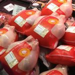 enviroganic farm organic chickens and turkeys