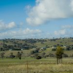 enviroganic farm organic chickens and turkeys