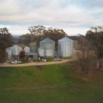 enviroganic farm organic chickens and turkeys