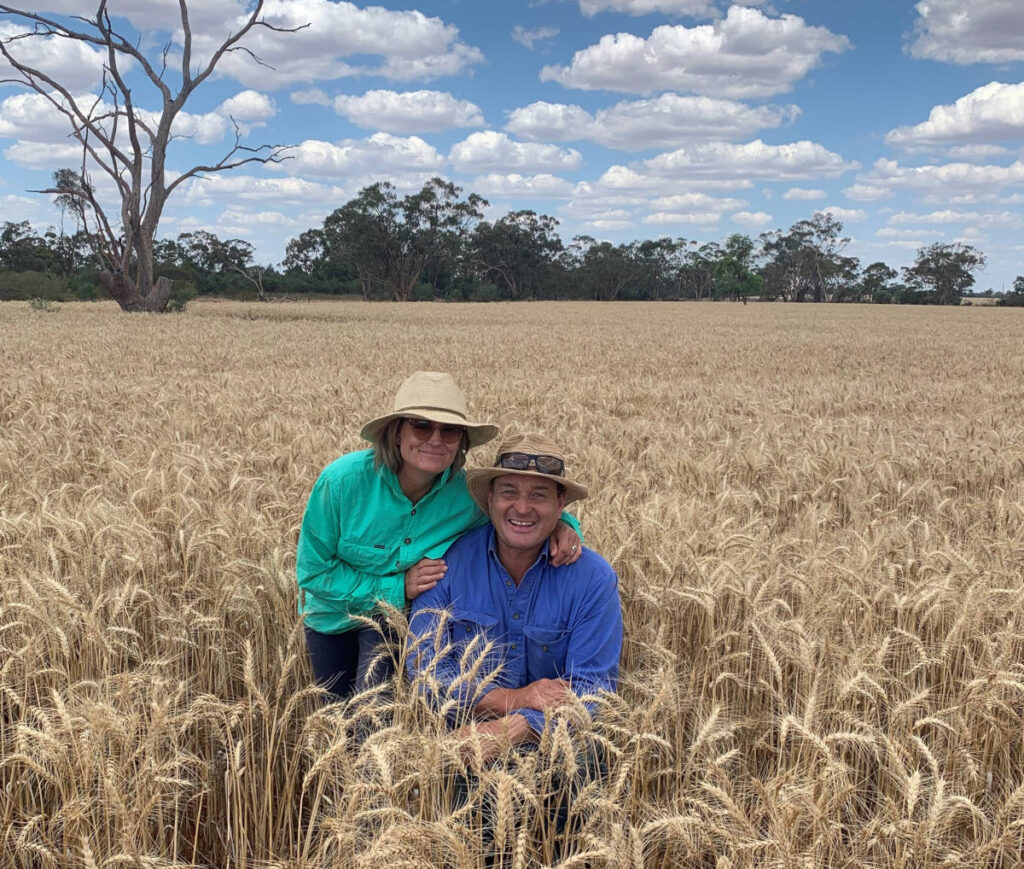 Our Own Certified Organic Wheat